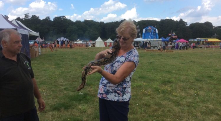 Elveden Country Show and Festival of Dogs July 2017 - Iceni Minors